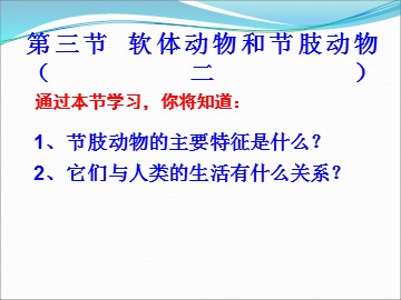 第三节  软体动物和节肢动物