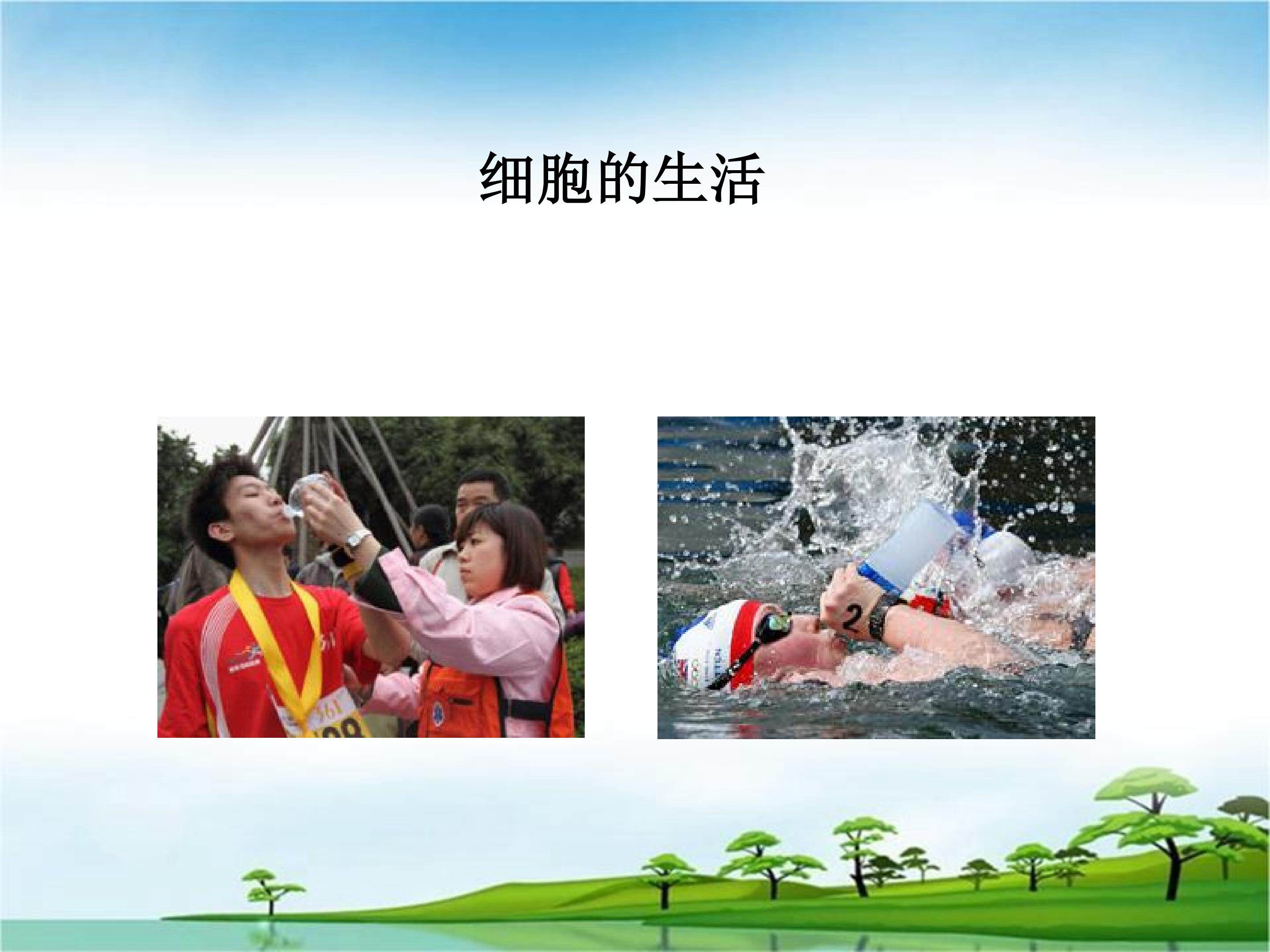 细胞的生活_课件1