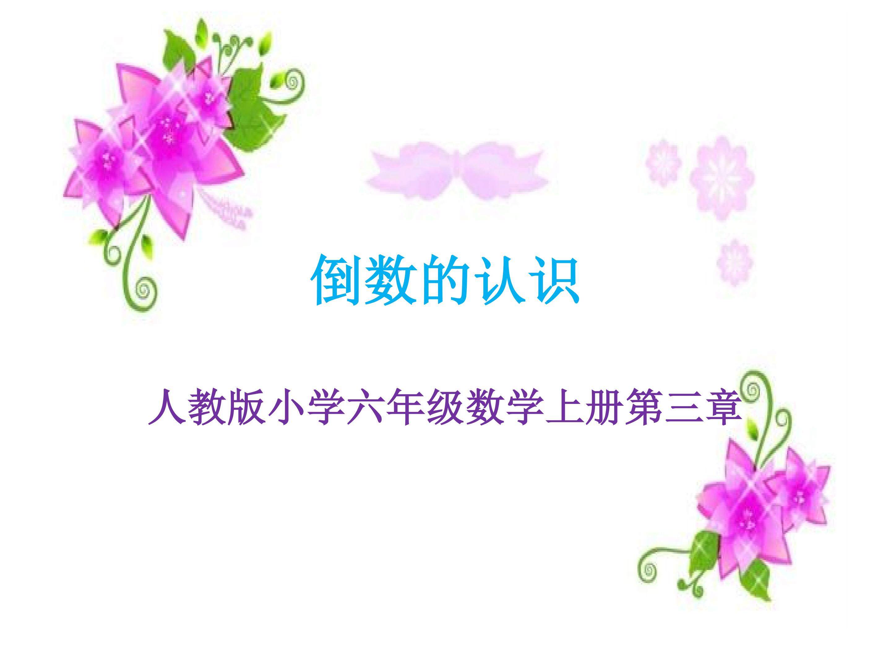 倒数的认识
