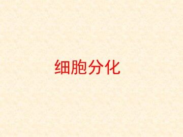 第2节  细胞的分化