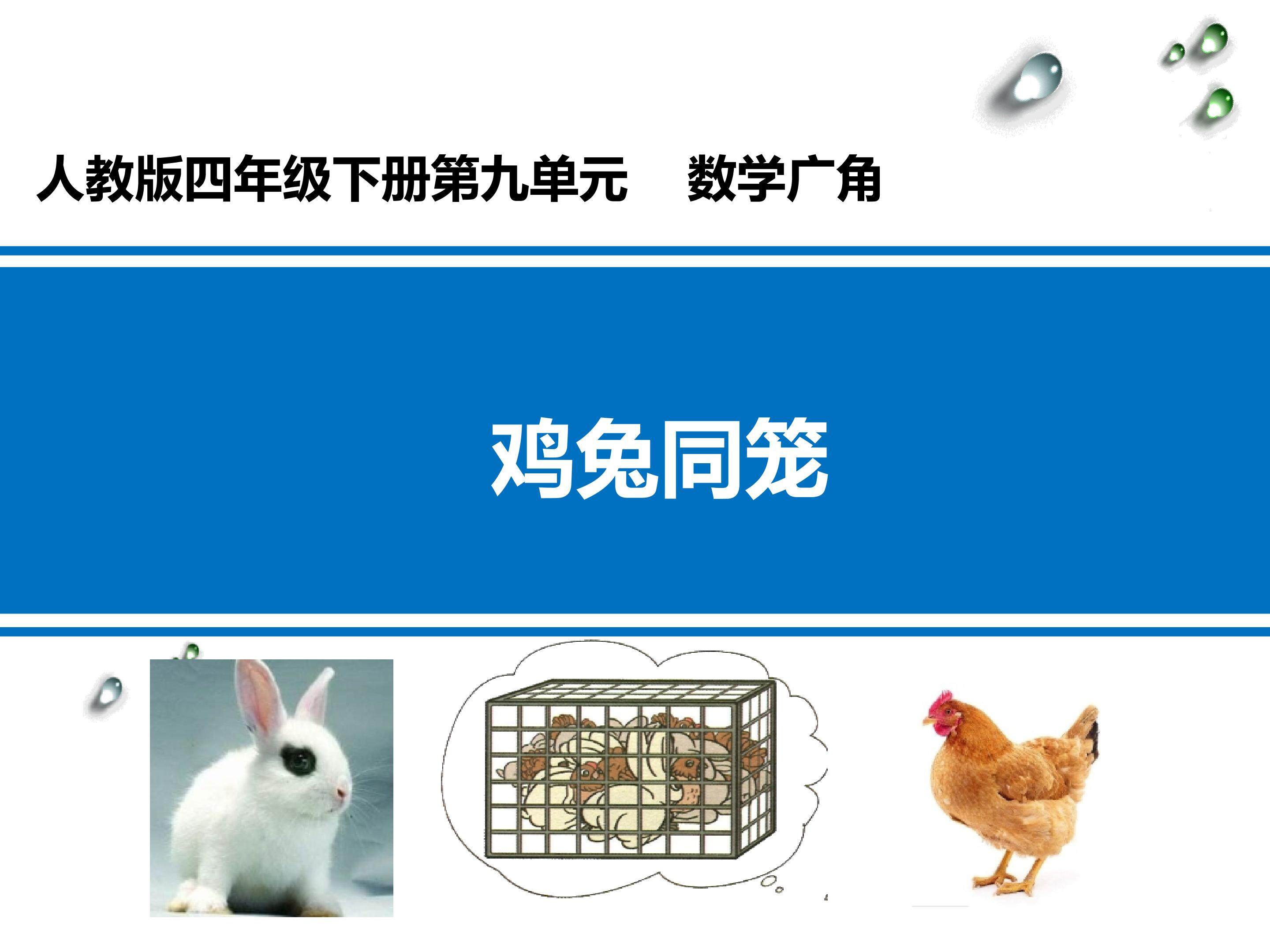 数学广角------鸡兔同笼