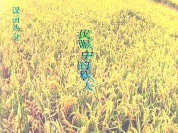 秋天_课件12
