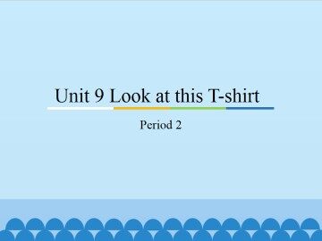 Unit 9 Look at this T-shirt-Period 2_课件1