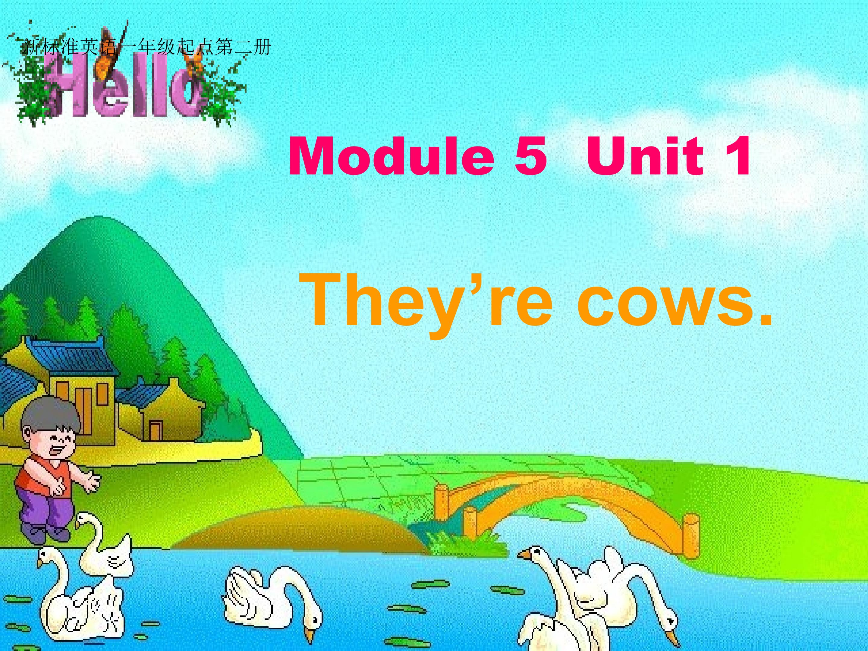 Module 5 They're cows.