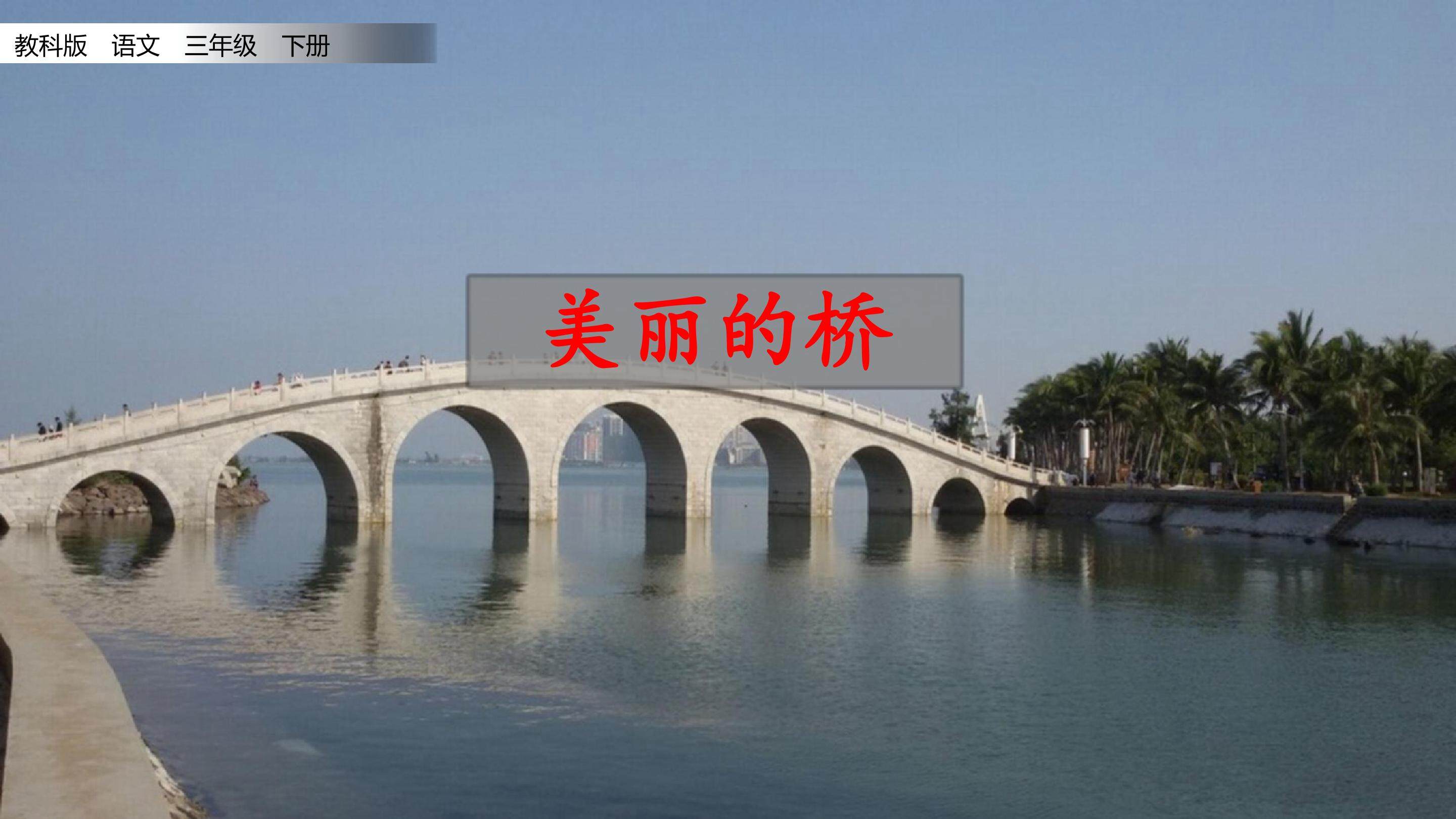 美丽的桥