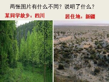 第二节  自然地理环境的差异性