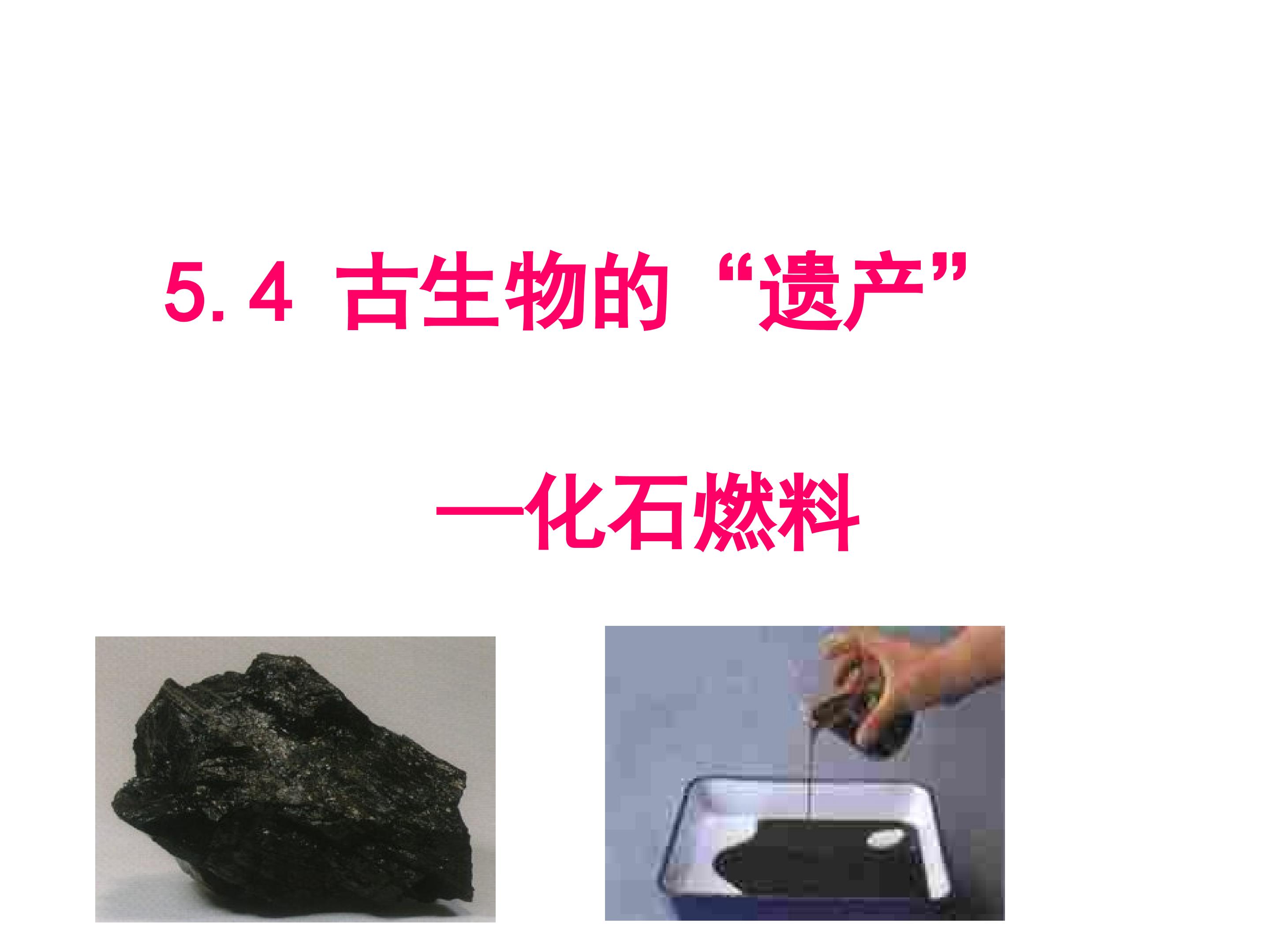 5.4古生物遗传----化石燃料