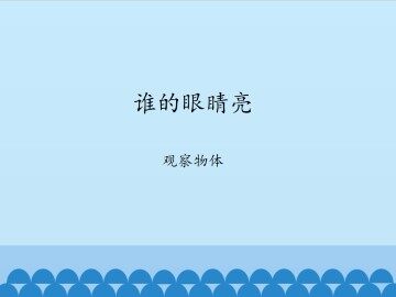 谁的眼睛亮——观察物体_课件1