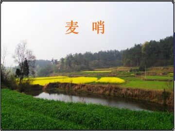 麦哨_课件5