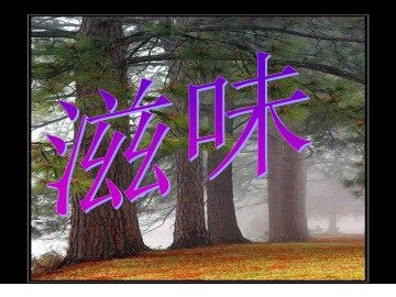 滋味  张抗抗_课件1