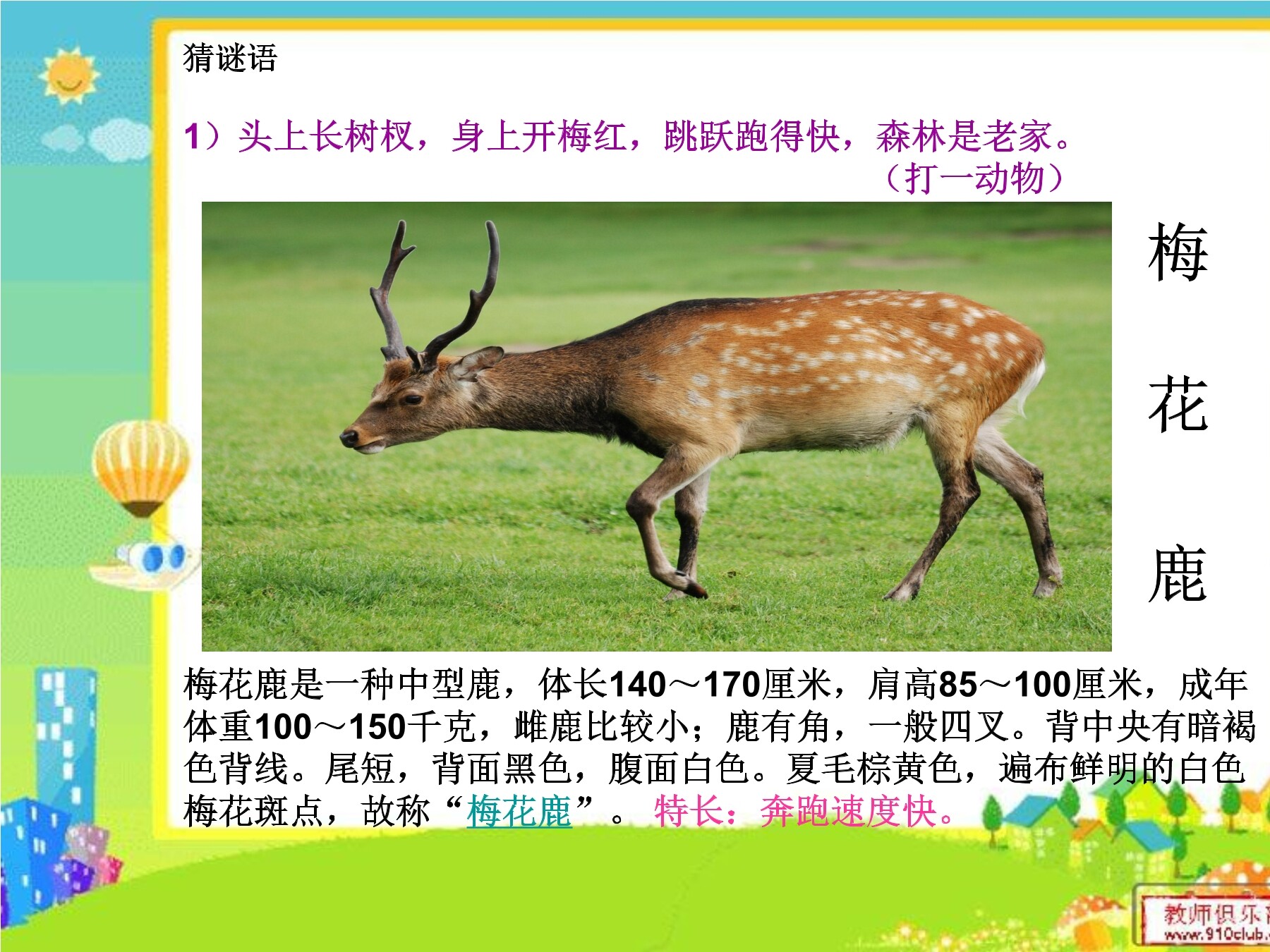 比本领