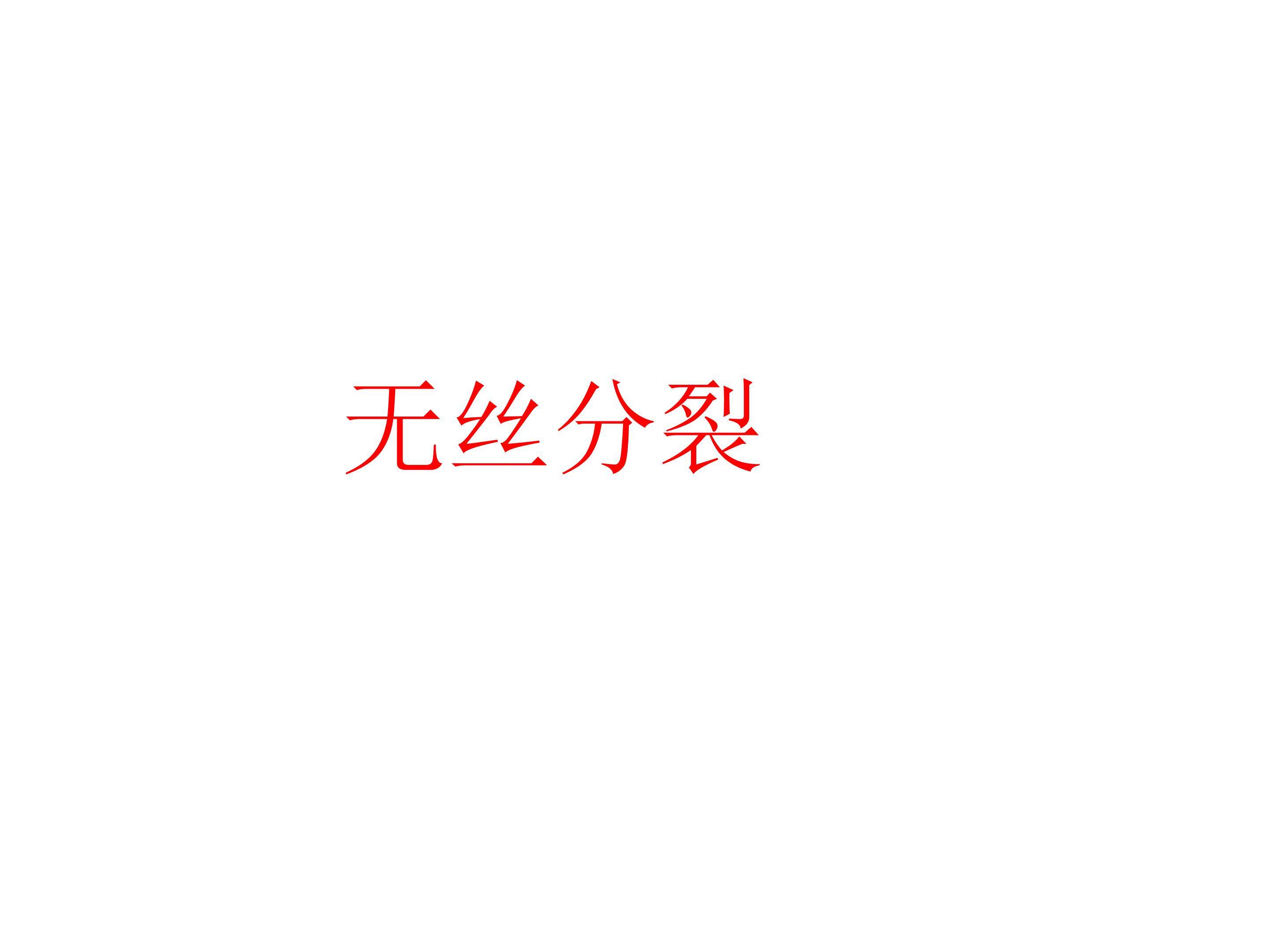 无丝分裂_课件1