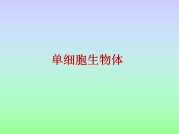 单细胞生物体_课件1