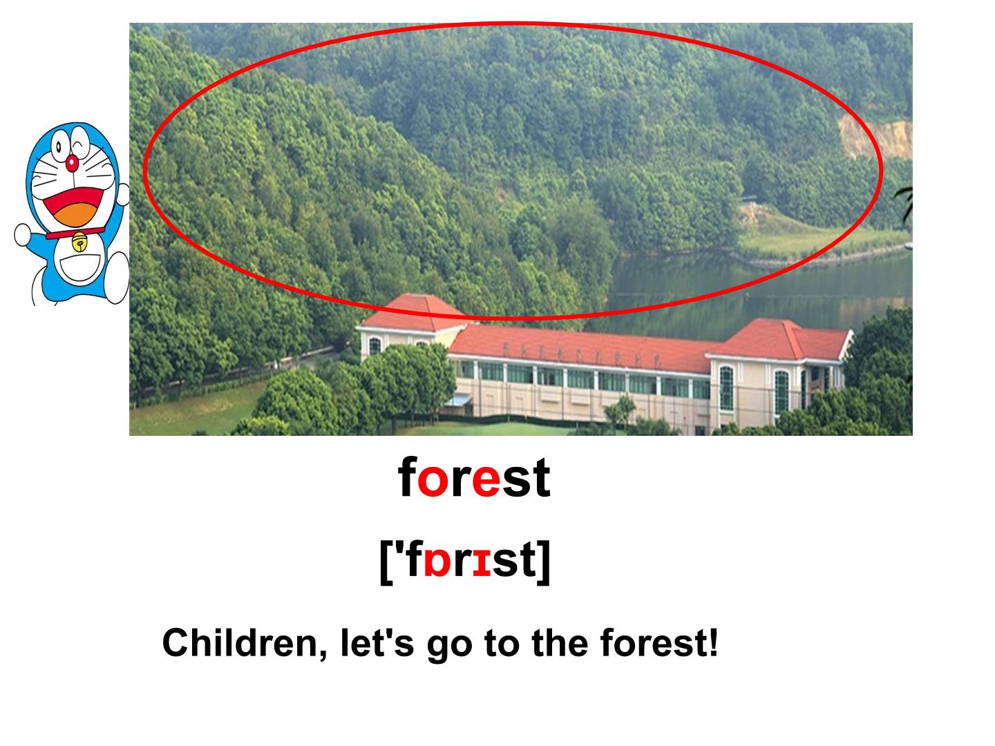 15.jpg