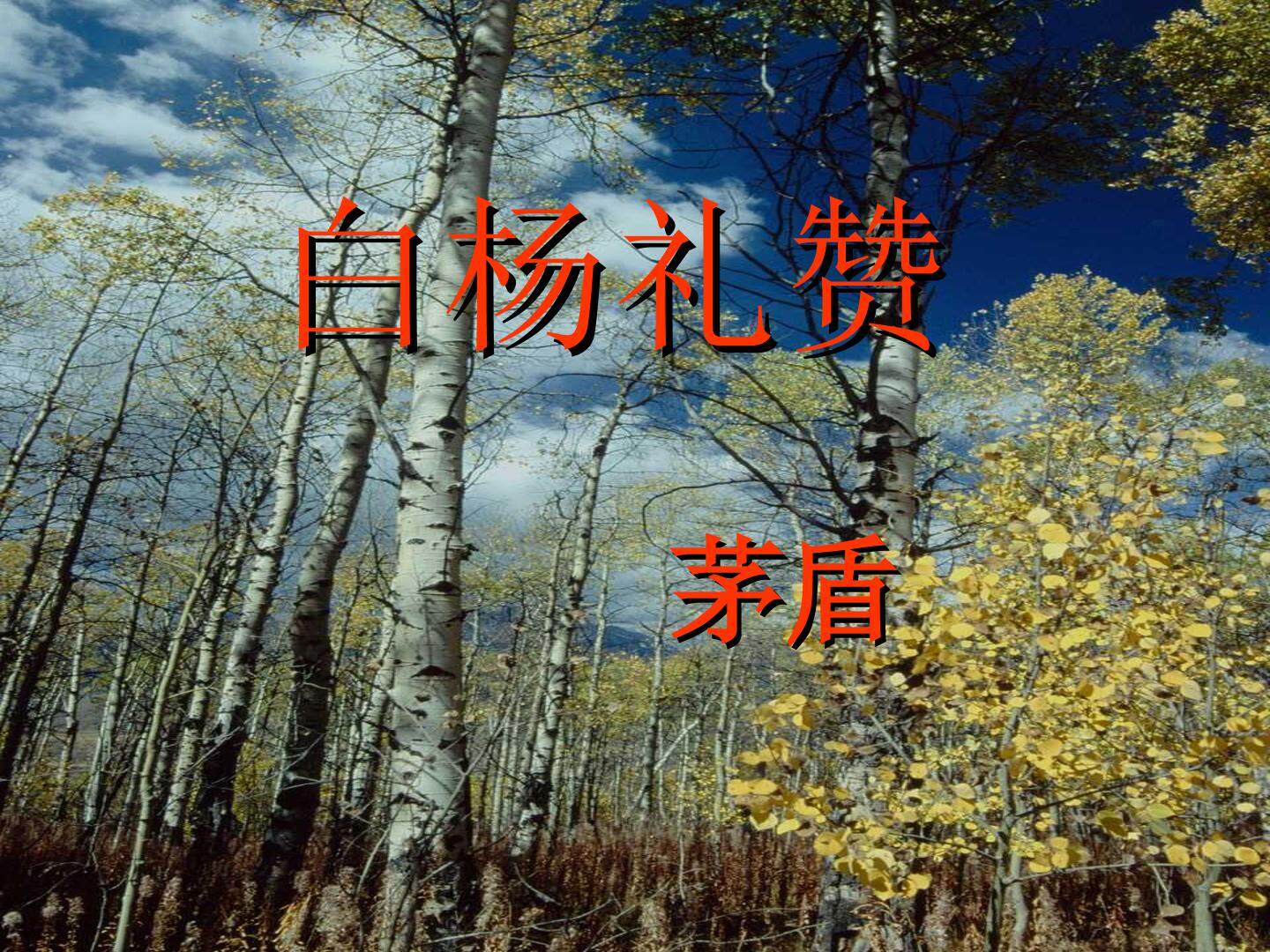 白杨礼赞_课件6