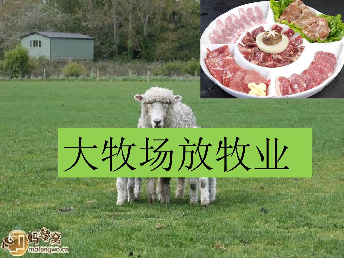 第三节　以畜牧业为主的农业地域类型