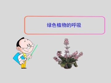 绿色植物的呼吸_课件1