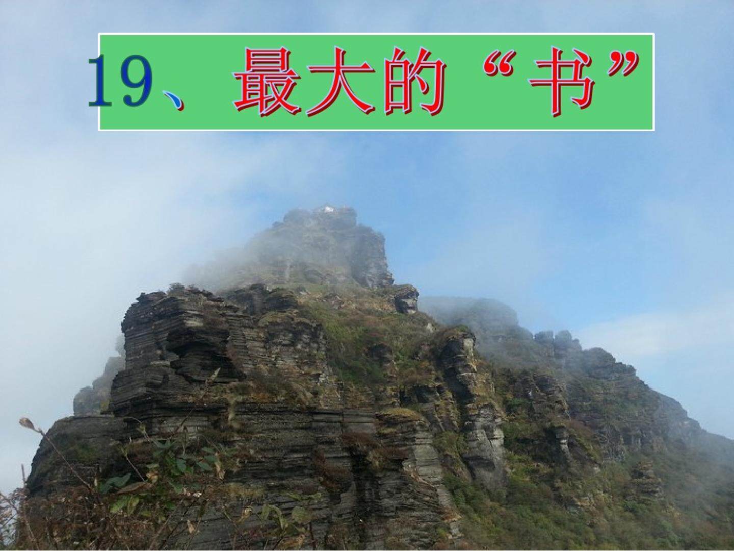 最大的书