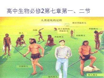 生物高中必修2第七章第一、二节课件12