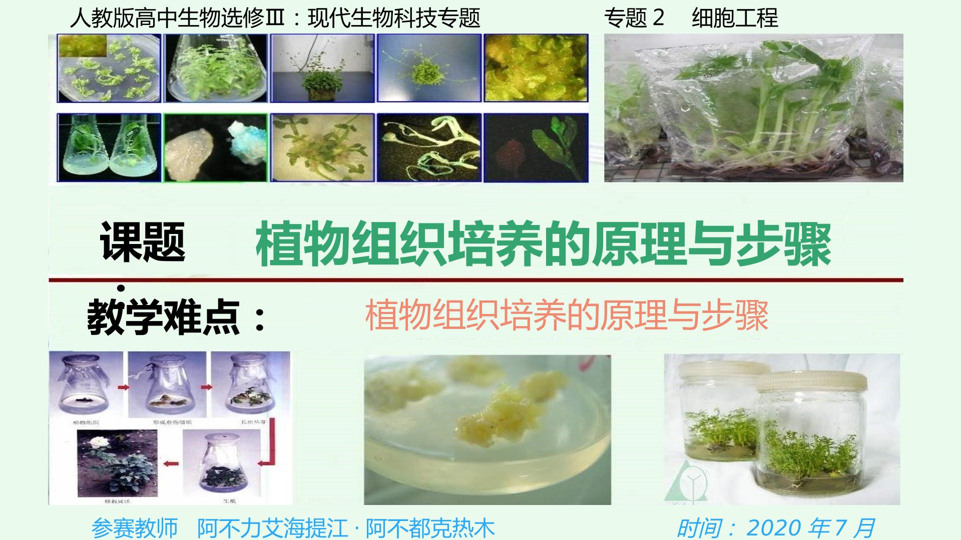 植物组织培养的步骤