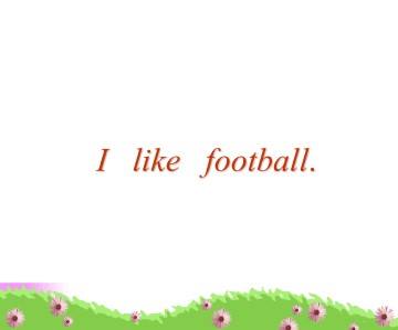 I like football._课件1