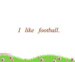 I like football._课件1