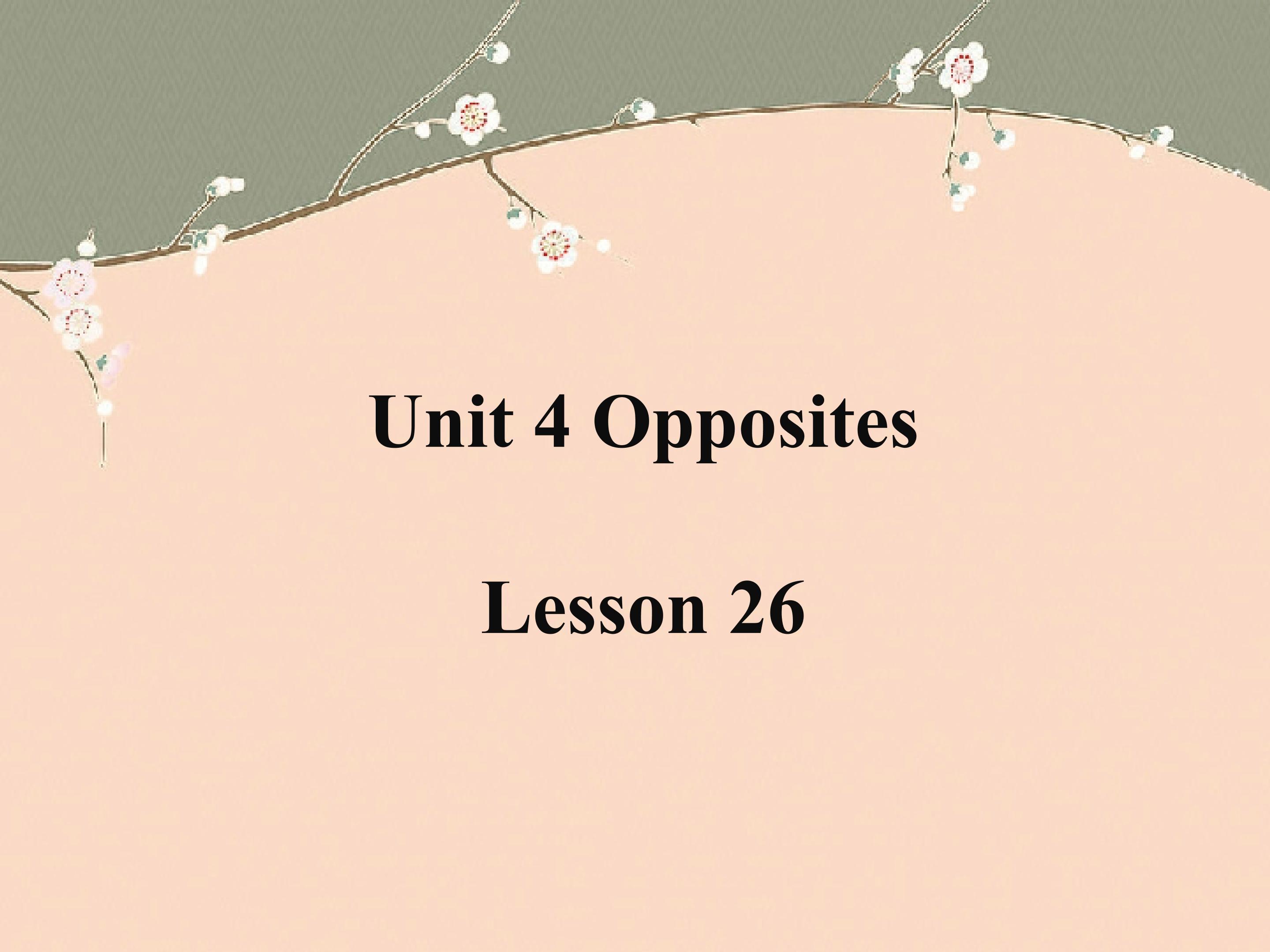 Unit 4 Opposites Lesson 26