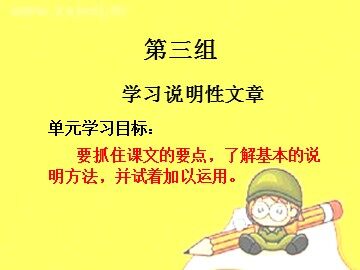 9 鲸