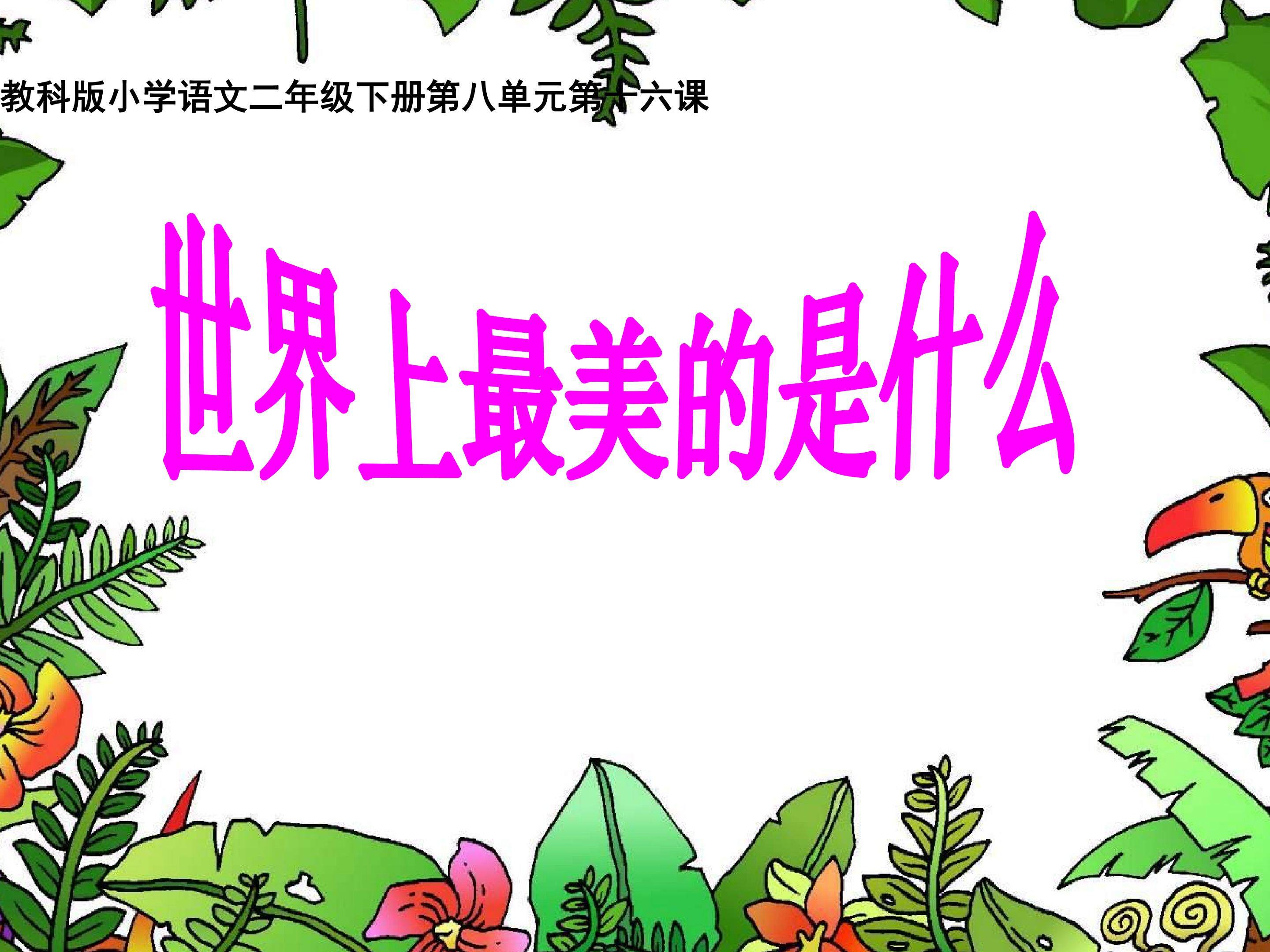世界上最美的是什么