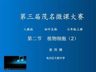 第二节 植物细胞(2)