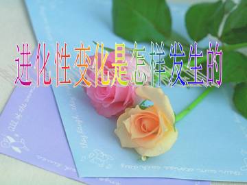进化性变化是怎样发生的_课件1
