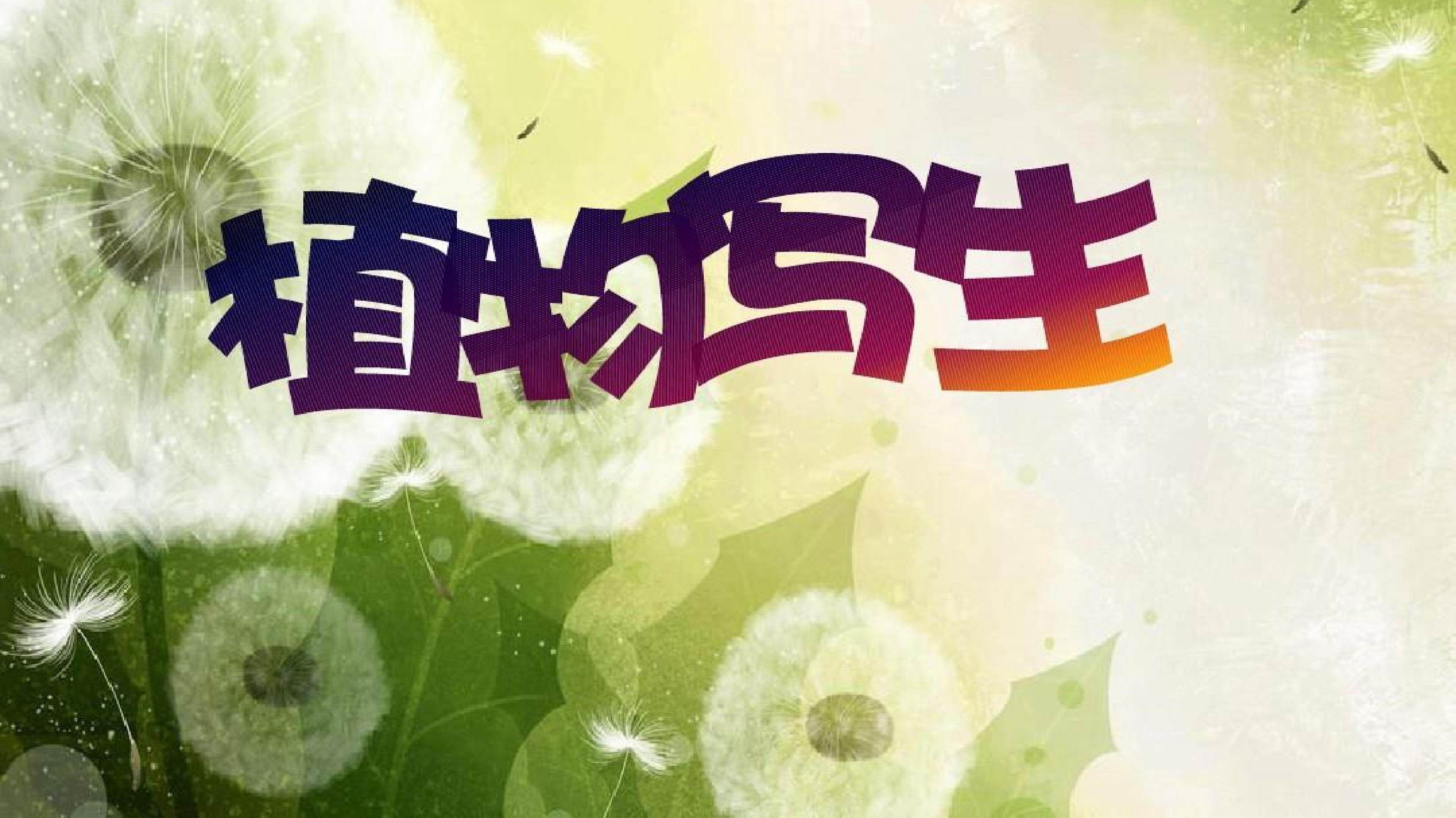 植物写生