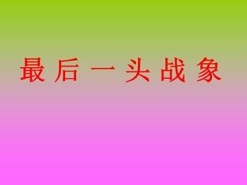 23 最后一头战象 