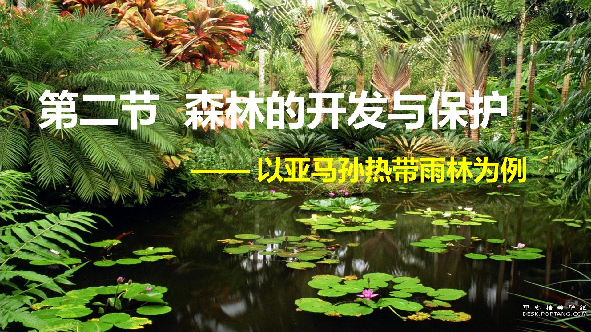 森林的开发与保护