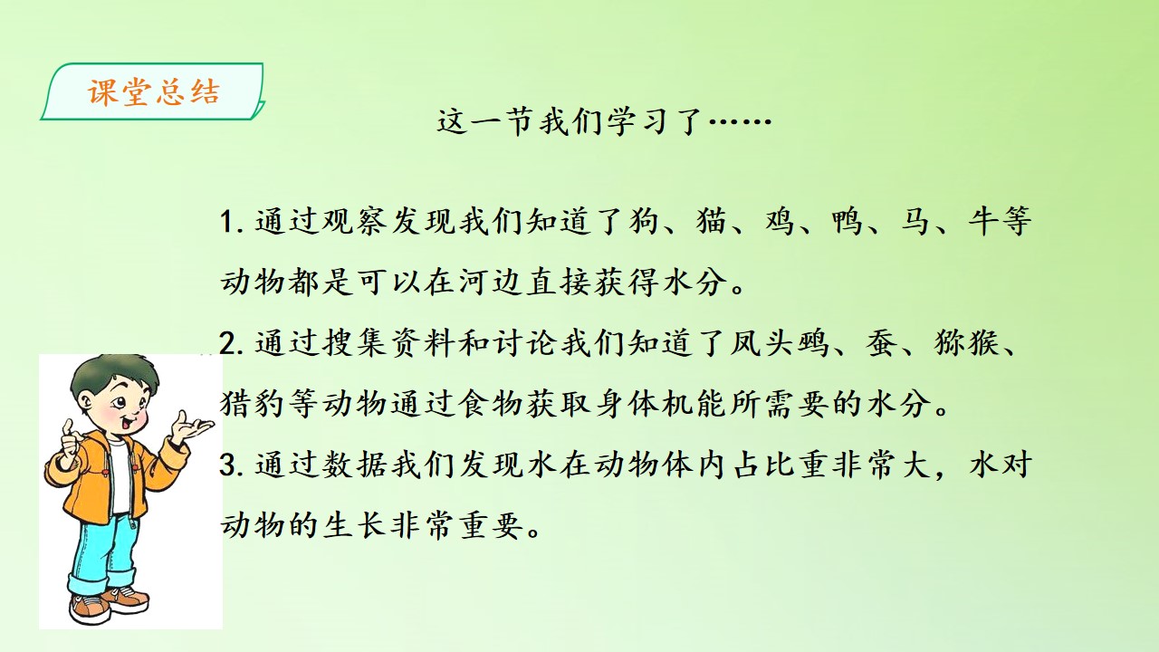 25.jpg