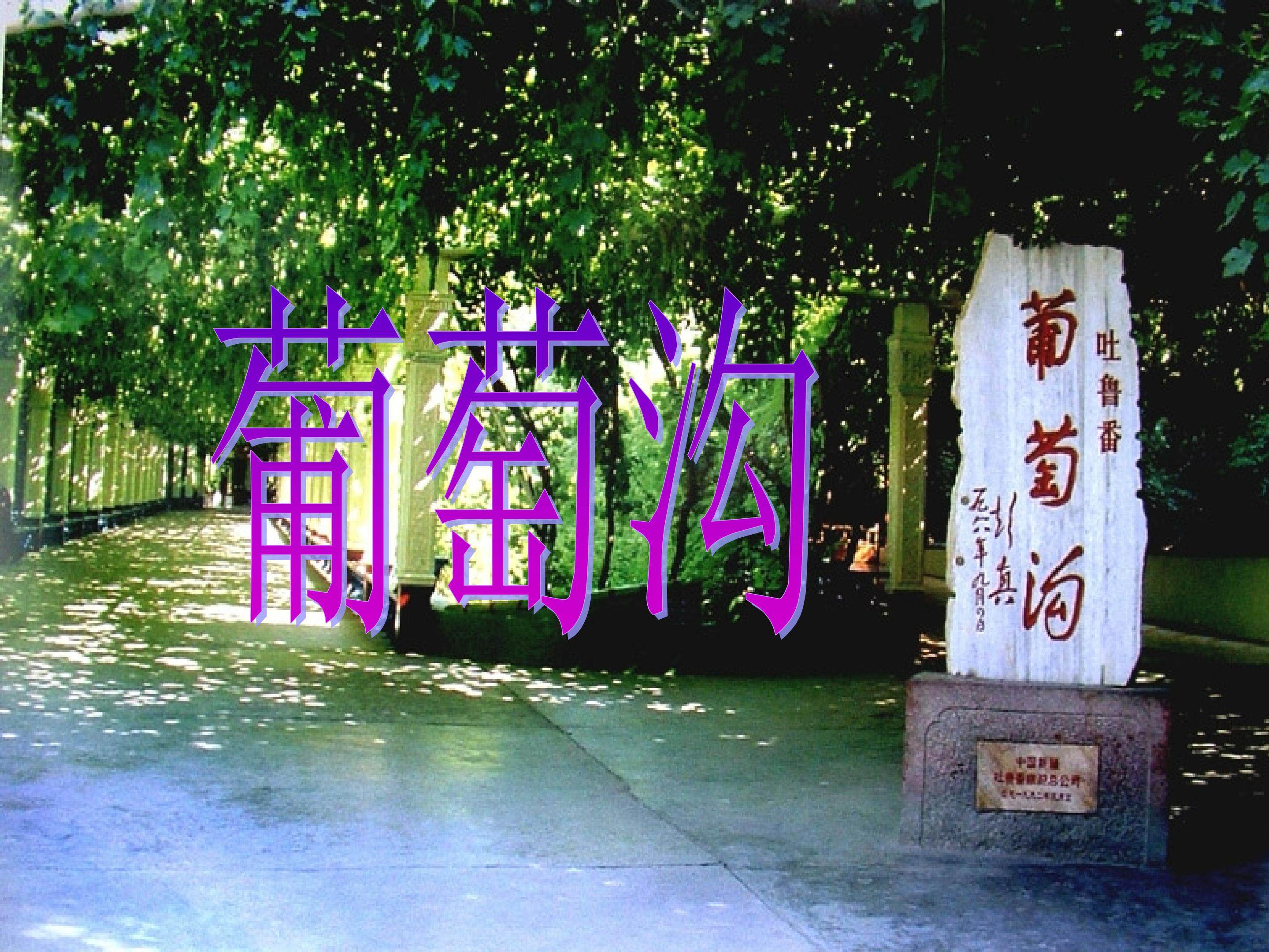 葡萄沟