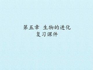 第五章 生物的进化 复习课件