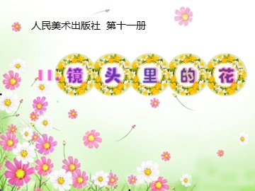 11. 镜头里的花