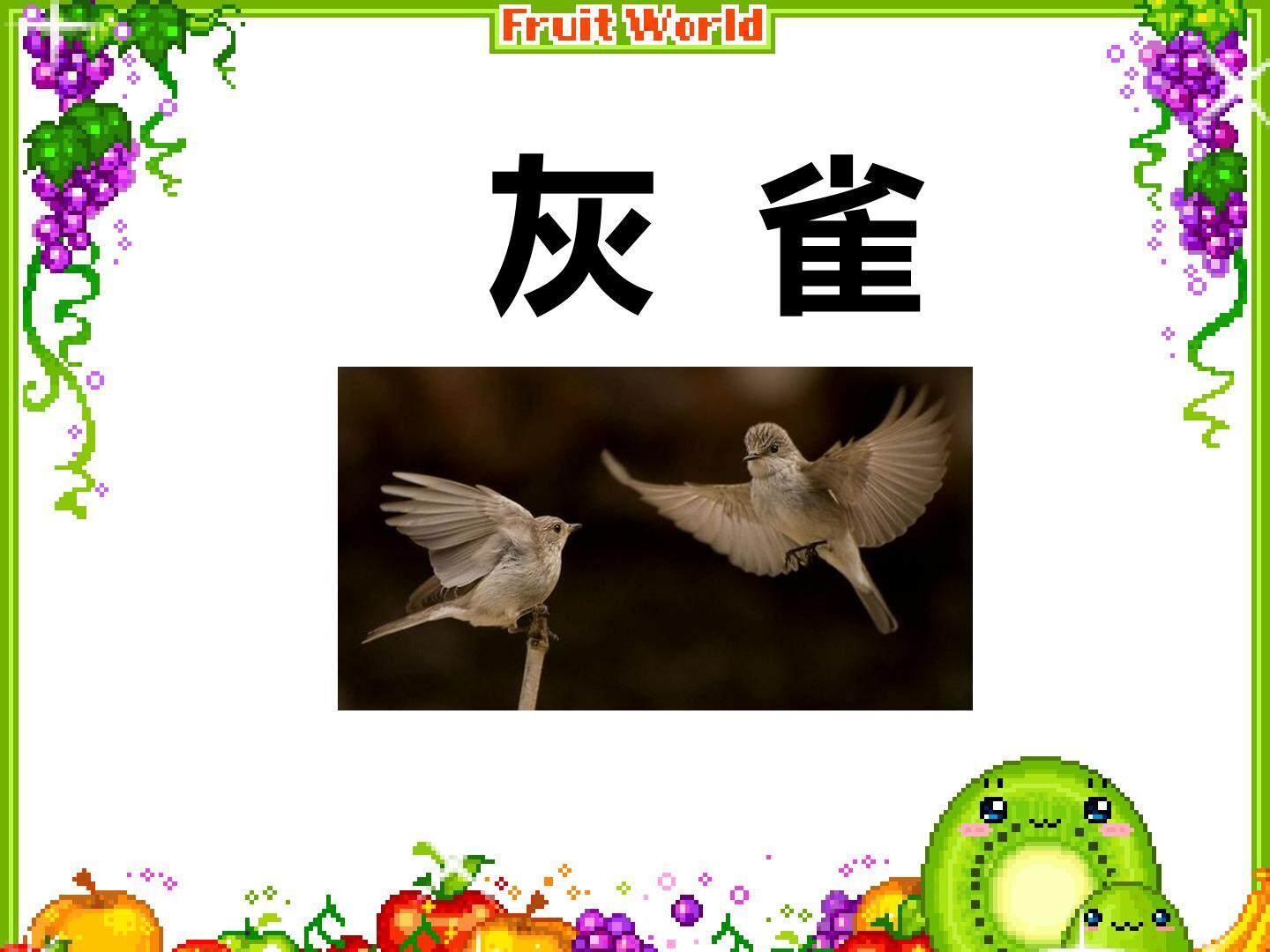 5 灰雀