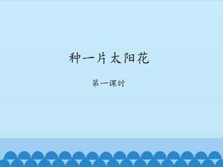 种一片太阳花-第一课时_课件1