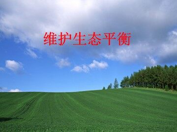 维护生态平衡_课件1