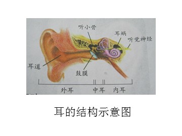 《保护我们的听力》_课件3