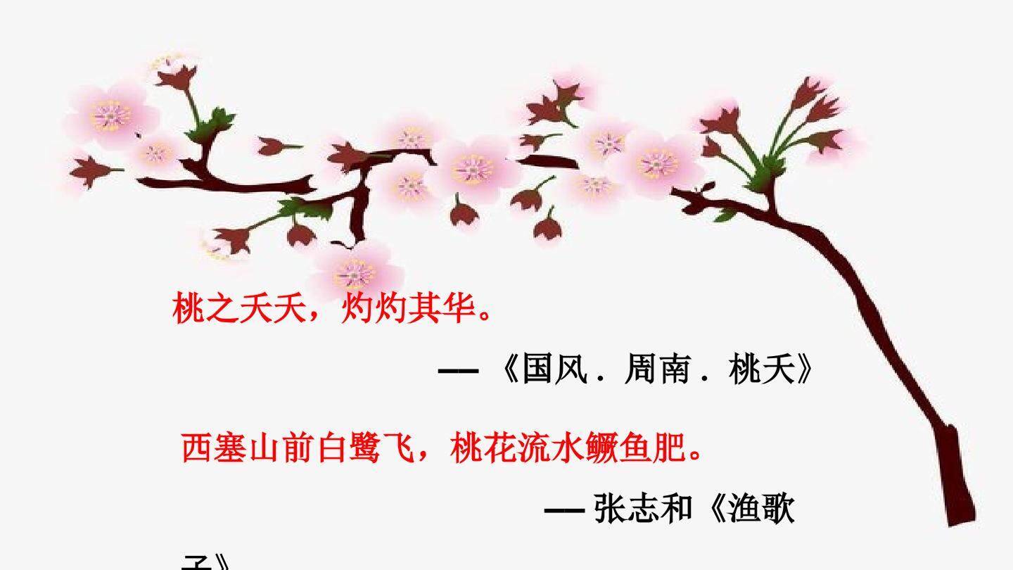 一棵小桃树