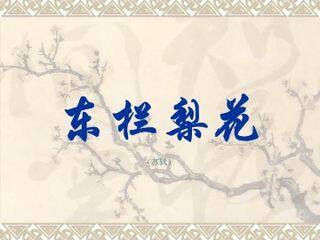 东栏梨花(苏轼)_课件1