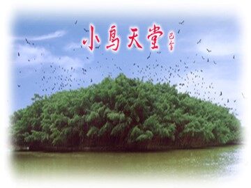 3  鸟的天堂