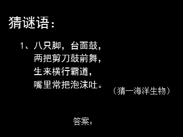 9 鲸