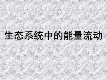 生态系统中的能量流动_课件1