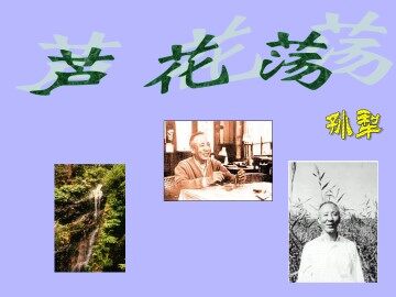 芦花荡_课件1