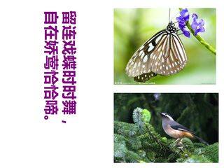 动物在生物圈中的作用