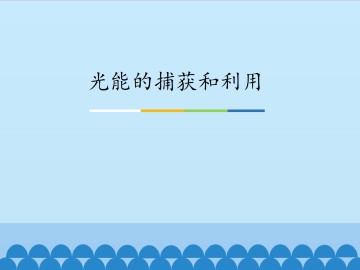光能的捕获和利用_课件1